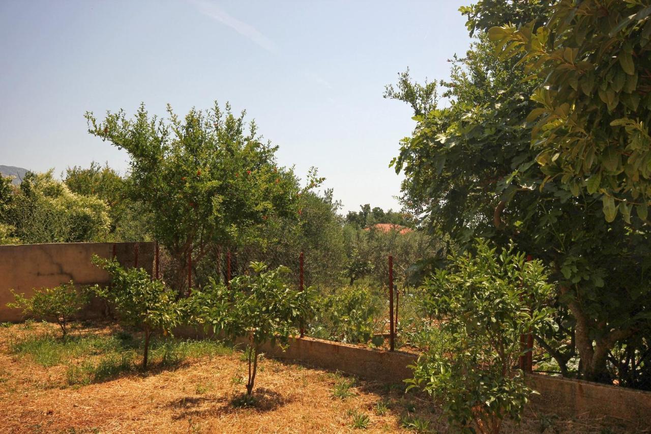 Apartments And Rooms With Parking Space Orebic, Peljesac - 10191 Exterior foto